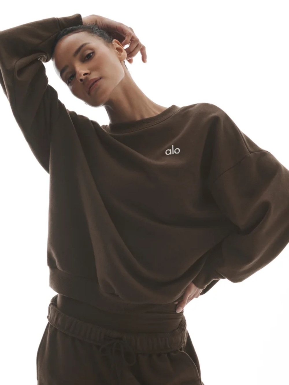 ALO Accolade Crew Neck Sweatshirt - Espresso Brown | Size L - Picture 4 of 10